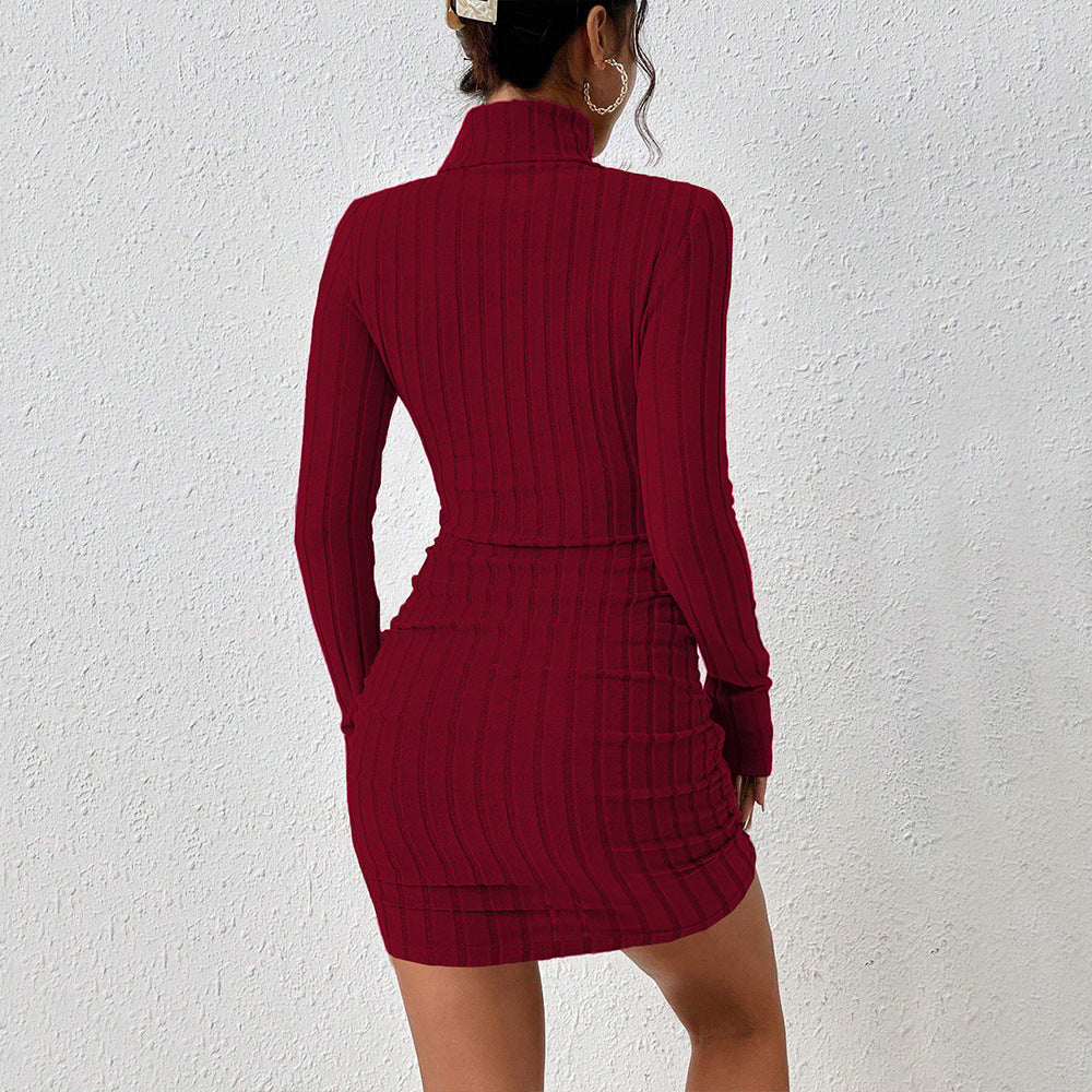 Women's Wine Red High Neck Autumn Winter Dress