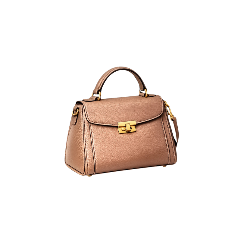 Brown handbag with a gold clasp on a white background